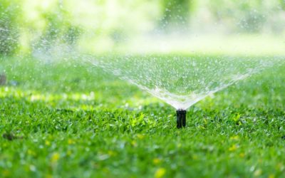 4 Lawn Care Tips While on Vacation