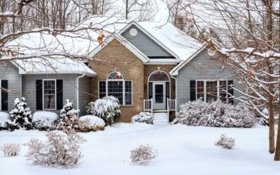 How to Have a Green Lawn All Winter Long
