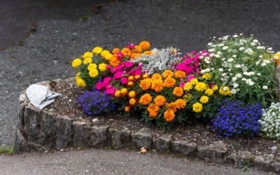4 Great Residential Bed Maintenance Tips During a Heat Wave