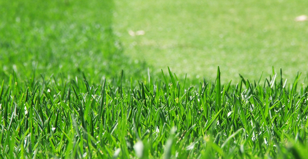 Get the Right Height on Your Fall Lawn Mowing