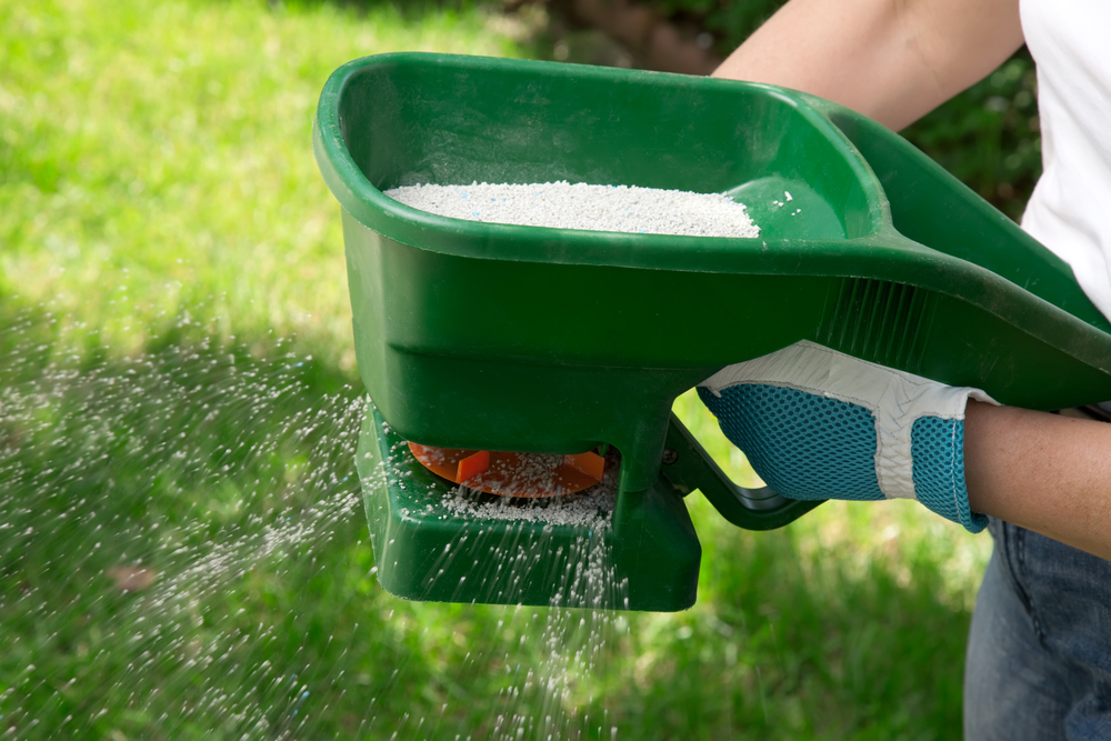 Spring Lawn Care Maintenance for Homeowners