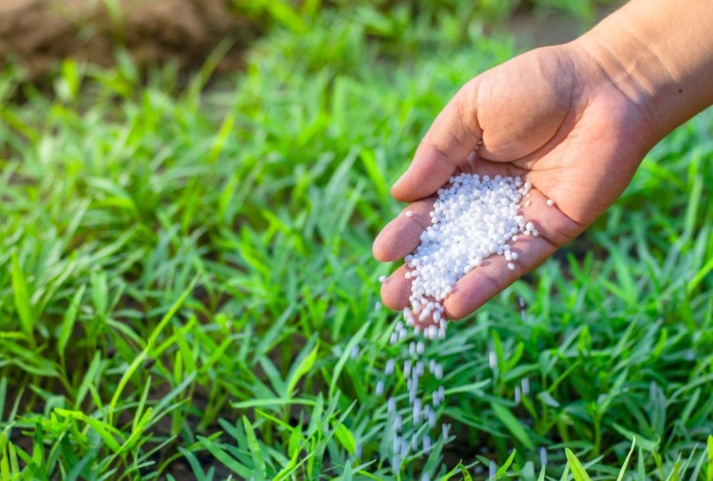 3 Types of Fertilizer That Are Great for Your Lawn and Garden