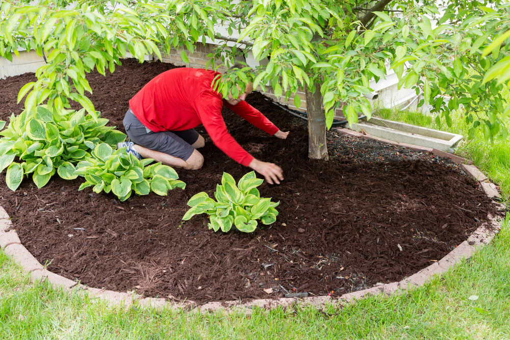 Top 3 Do’s and Don'ts of Mulching Mulching Tips