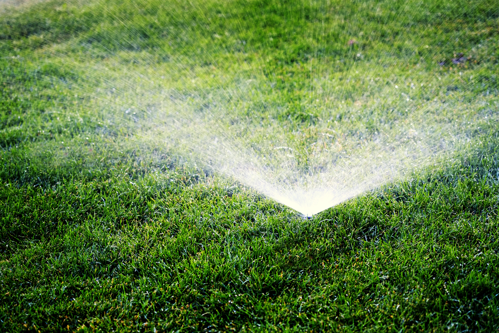 4 Tips to Keeping Your Lawn Happy Between Mowing Services