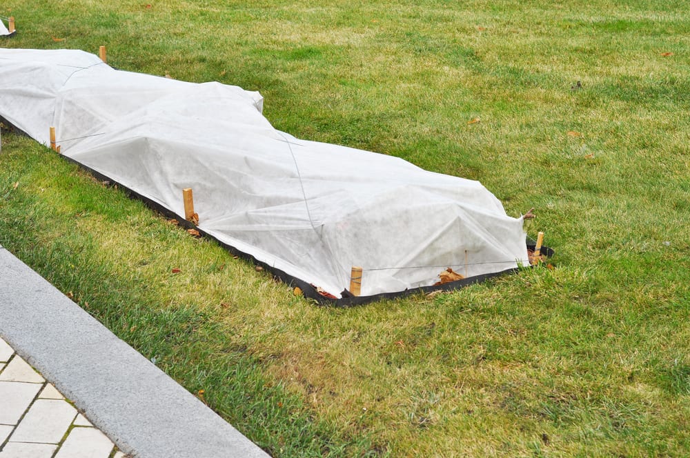 Best Practices for Winterizing Your Lawn Before the Holidays