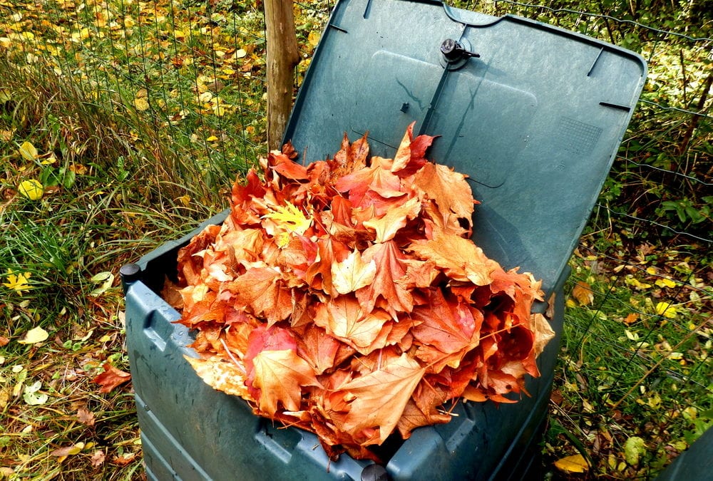 3 Steps Towards Creating the Perfect Leaf Compost