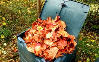 3 Steps Towards Creating the Perfect Leaf Compost