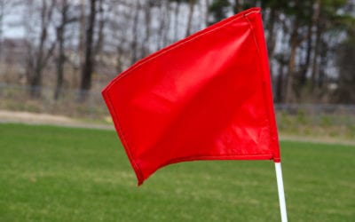 4 Lawn Care Red Flags When Shopping For A Home