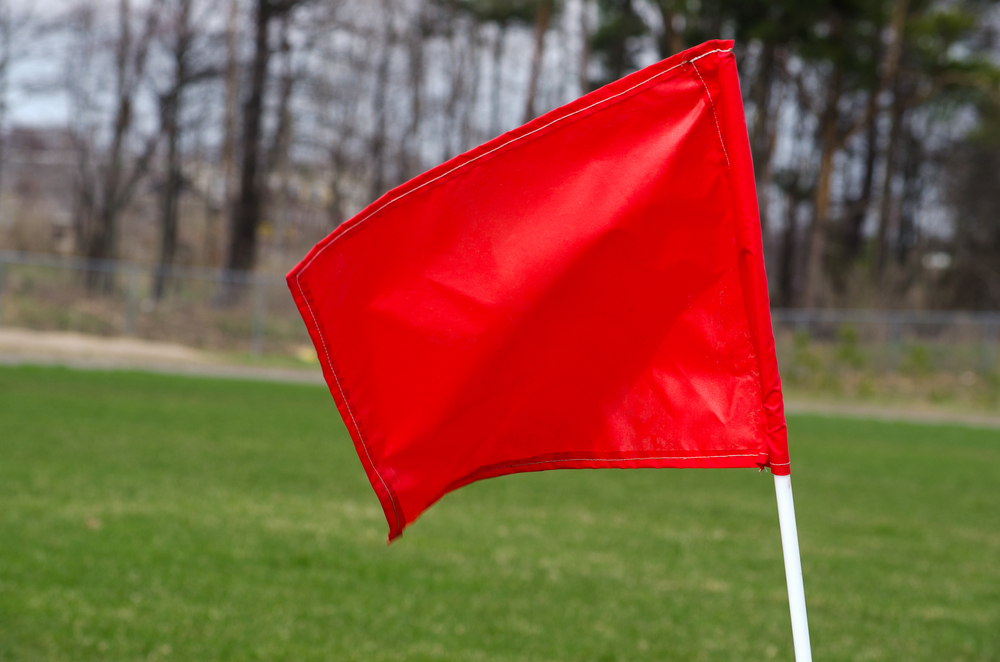 4 Lawn Care Red Flags When Shopping For A Home