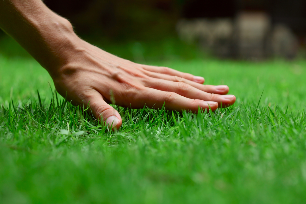 Eco Friendly Lawn Care