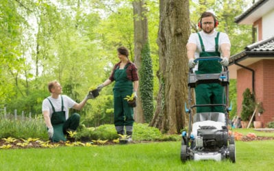 5 Signs of a Reliable Lawn Care Provider