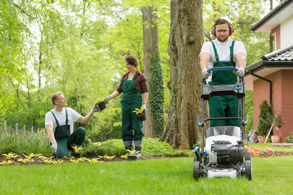 Best Outdoor Equipment Brands for Lawn Care Services