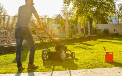 Summer Lawn Care Treatment for a Healthy Landscape