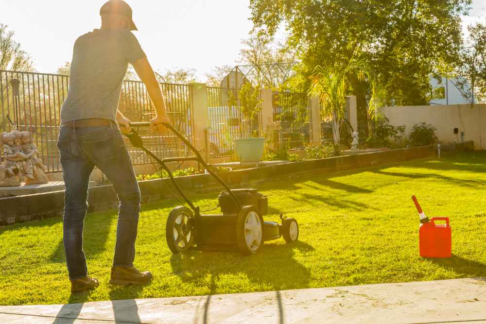 Summer Lawn Care Treatment for a Healthy Landscape