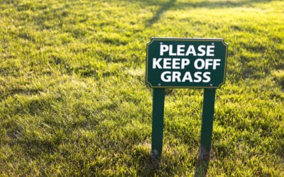 Foot Traffic and Lawn Damage