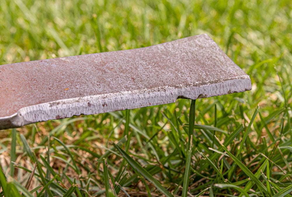 Dull Vs. Sharp Blades for Mowing Your Lawn