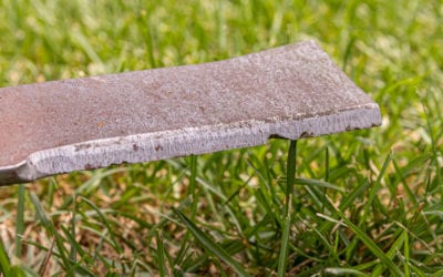 Dull Vs. Sharp Blades for Mowing Your Lawn