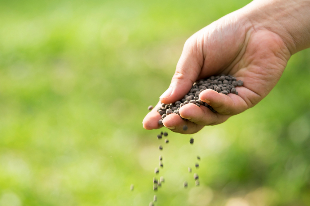 Expert Lawn Care Tips for Fall Fertilization