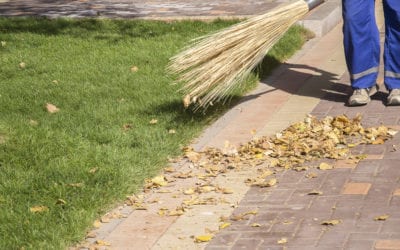 How to Effectively Winterize your Garden This Fall