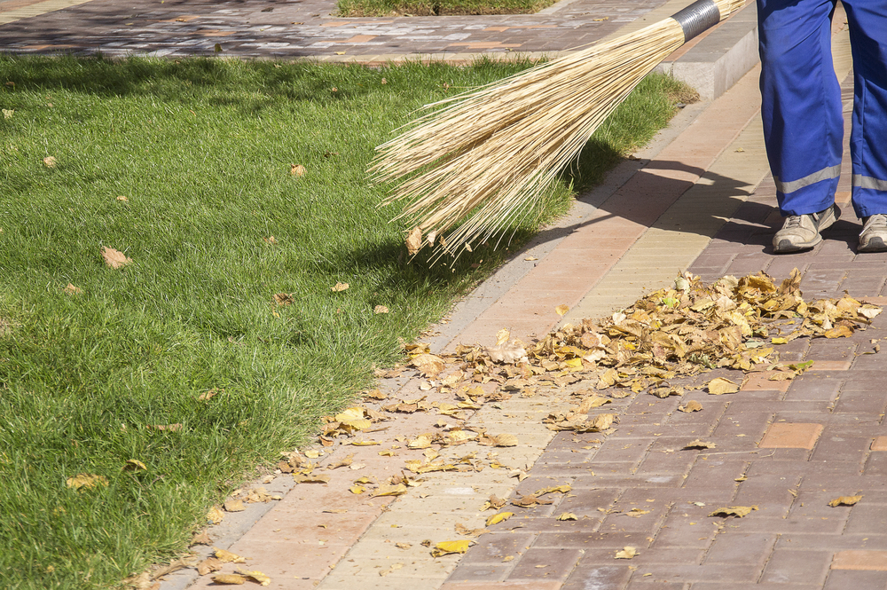 Winterize Your Lawn in the Fall