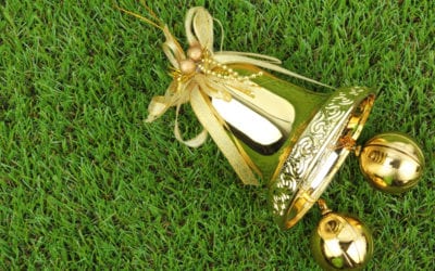 How to Decorate Your Yard for the Season Without Damaging Your Lawn