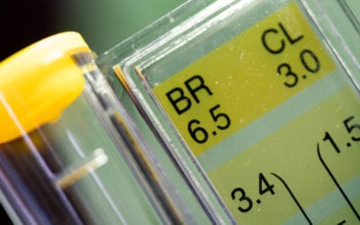 Understanding What Low pH Can Do To Your Lawn