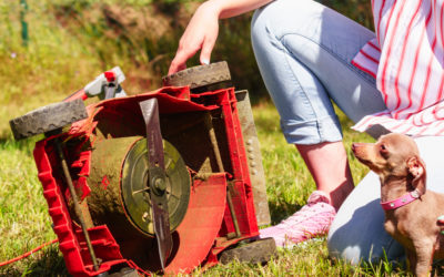 The Ultimate Guide to Sharpen Lawn Mower Blades