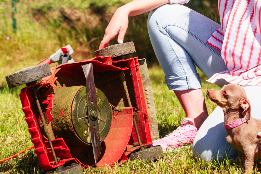 Major Red Flags That There’s A Problem With Your Lawn Mower
