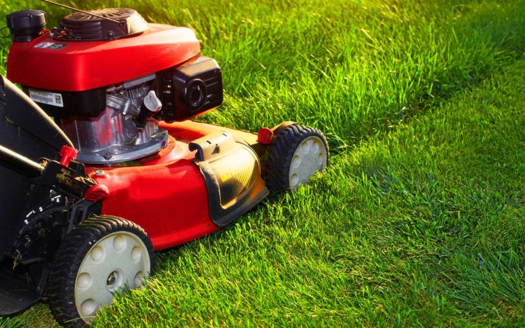 Reasons Why You Should Schedule a Lawn Mowing Service