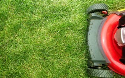 Best Lawnmowers for Your Lawn