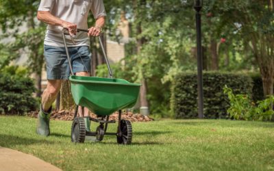Fertilization Do’s and Don’ts This Summer