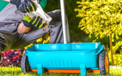 Leading Signs That Your Plants Are Getting Too Much Fertilization