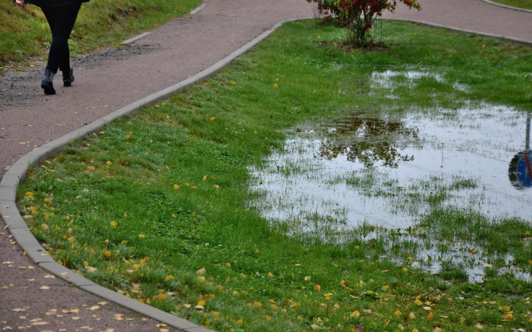 Tips to Protect Your Lawn from Weather Damage