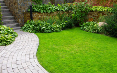 6 New Year’s Resolutions for Your Yard