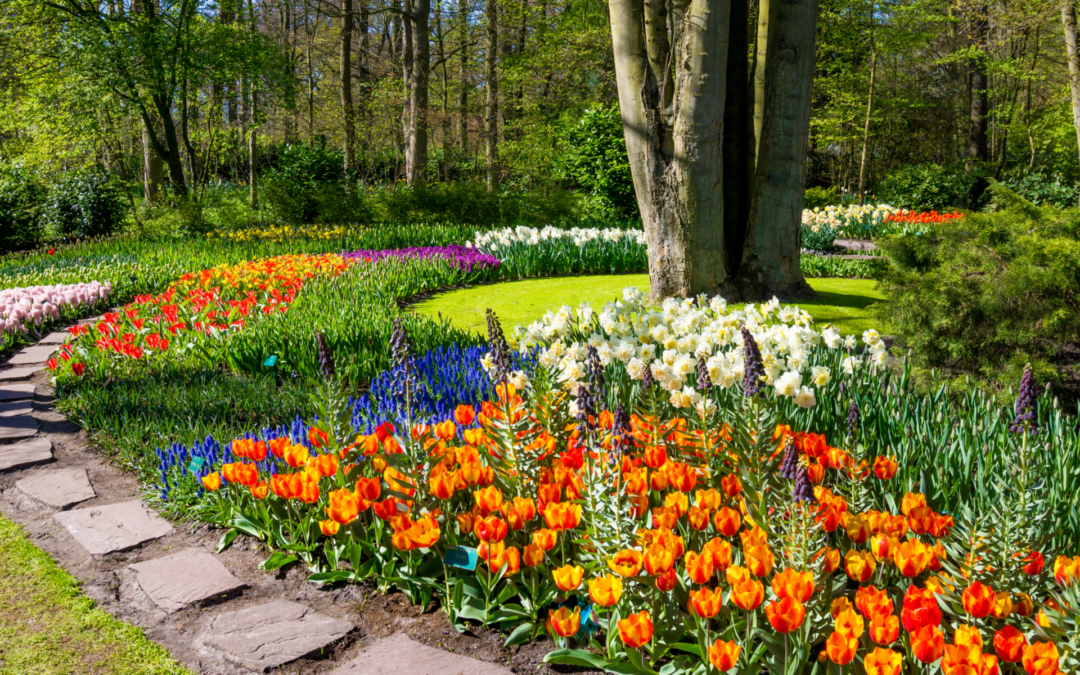 Easy Spring Landscaping Tips to Make Your Home Sale a Success