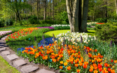 4 Principles of Landscape Design for Dallas Yards