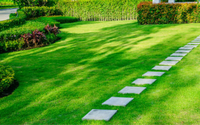 Environmentally Sound Tips for Efficient Lawn Maintenance
