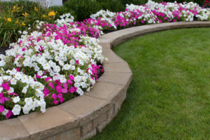 Beautifully Maintained Flower Bed In North Texas
