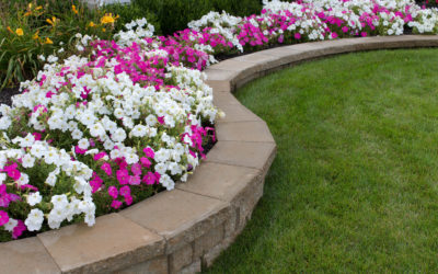 Tips for Reviving Your Damaged Flower Beds