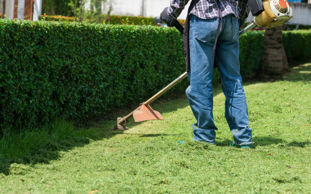 How to Hire an Excellent Lawn Care Company
