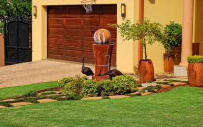 4 Grasses That Thrive in North Texas
