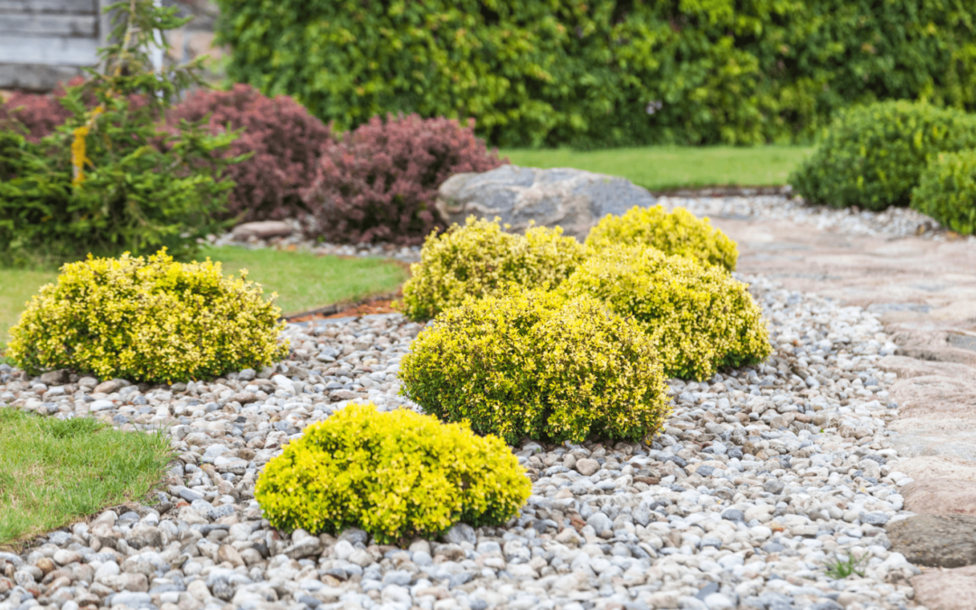 How to Maximize Your Landscaping on a Budget