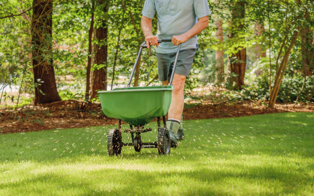 What's the Best Time to Fertilize Lawn?