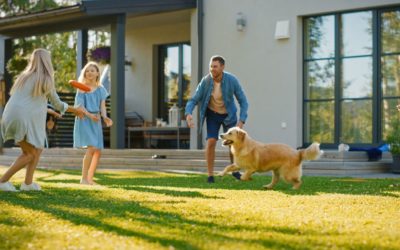 Is Your Lawn Under Heat Stress?