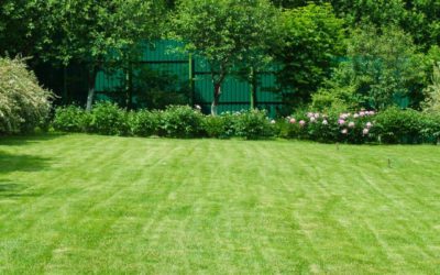 How to Lime Your Lawn in Texas