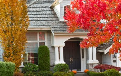 Fall Yard Cleanup to Prepare for Next Year