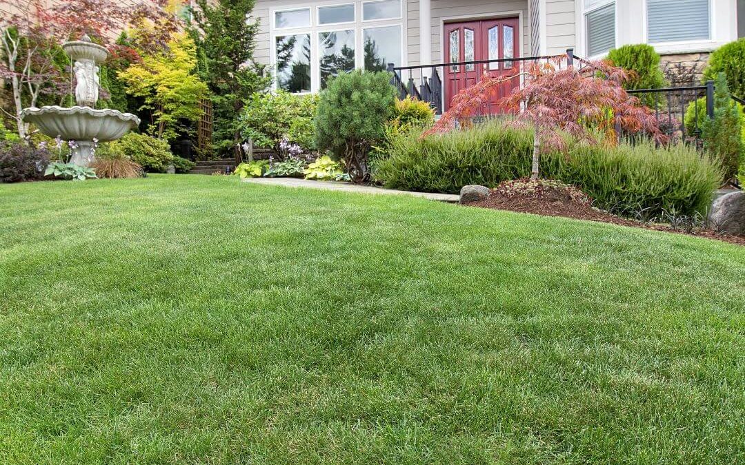 Why Should You Keep Your Lawn Well-Maintained?