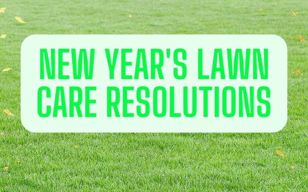 Top 5 New Year’s Resolutions for your Lawn