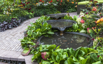 How to Create Eco-Friendly, Residential Landscaping