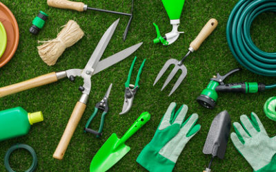 Top Tools Every Gardener Needs Between Lawn Care Visits